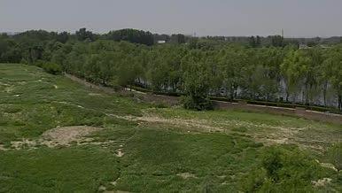 公园夏天自然环境绿色风光实景拍摄视频的预览图